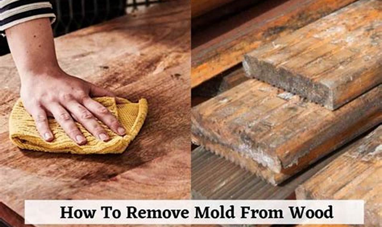 what kill mold on wood