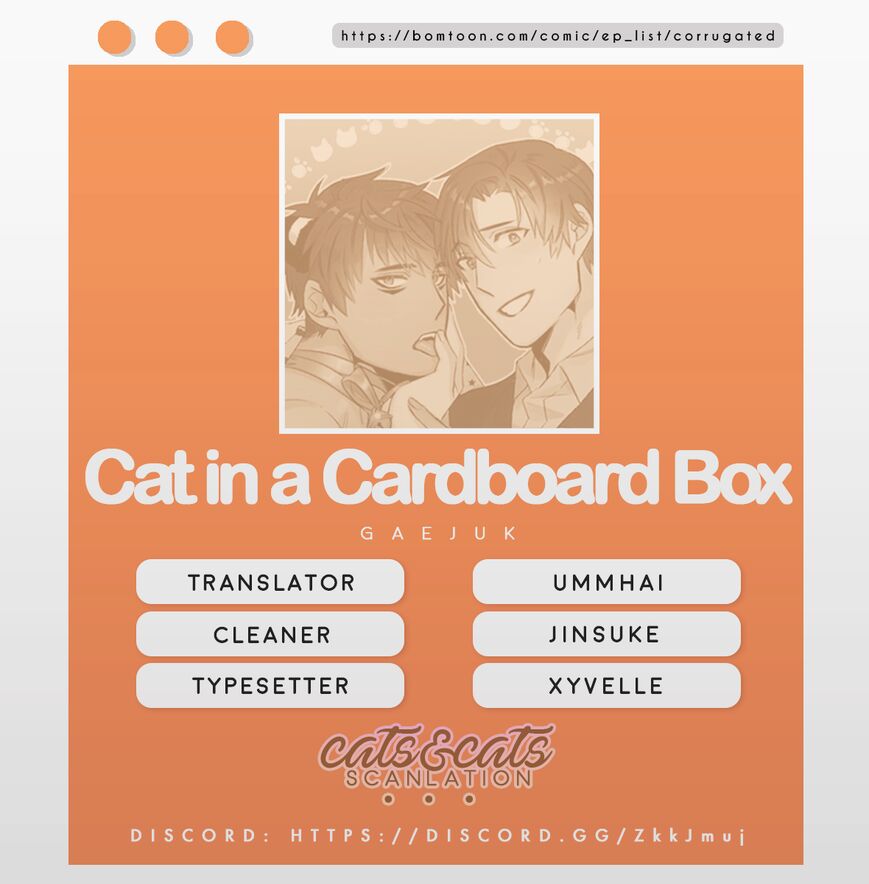 Cat In A Cardboard Box Chapter 14